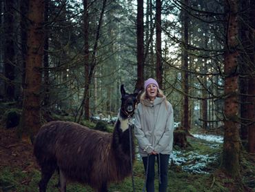 Alpaka @Annamaria Klocker