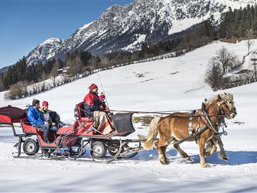 Eine Pferdeschlittenfahrt durch verschneite Landschaften. Im Hintergrund erheben sich beeindruckende Berge.
