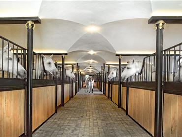 Ein eleganter Stall mit weißen Pferden, die aus ihren Boxen schauen. Der Raum hat eine helle, freundliche Beleuchtung und einen gepflegten Boden.