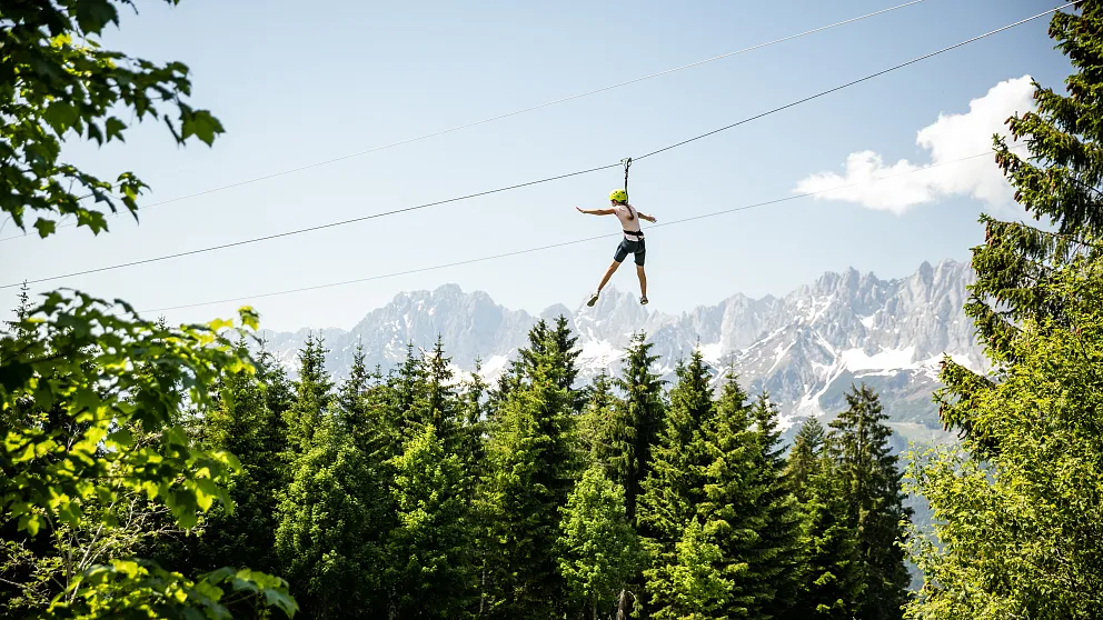 Hornpark (c) Mirja Geh (11).webp