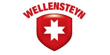 Wellensteyn 3D Logo.jpg